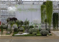 Fancy Fillers van Westhoff. 